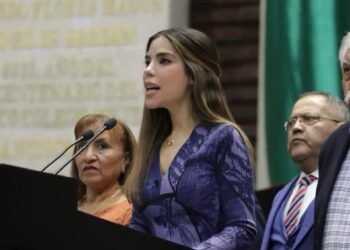 Buscan acuerdo nacional para ordenar el uso del celular en escuelas sin llegar a la prohibición