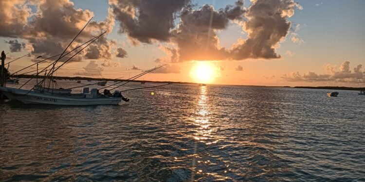 Río Lagartos conquista paladares y corazones con su esencia pesquera