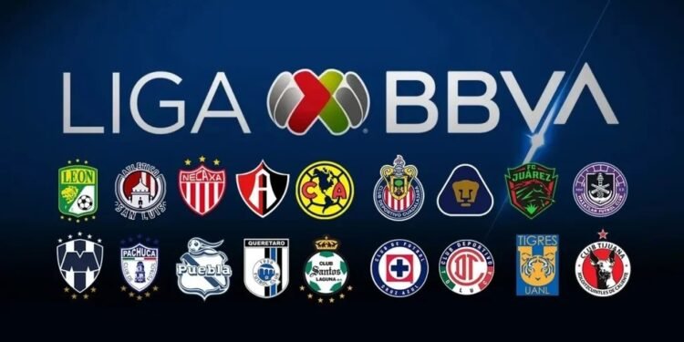 Inicio de la Liguilla de la Liga MX: todo está listo para la pelea por el título