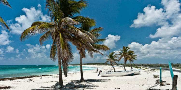 cozumel accidente puerto