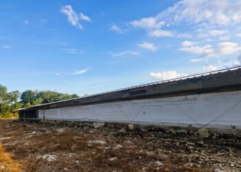 Profepa clausura predio de Bachoco por desmonte ilegal de selva en Kanasín