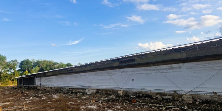Profepa clausura predio de Bachoco por desmonte ilegal de selva en Kanasín