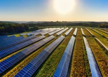 Economía verde: Yucatán redefine su estrategia de crecimiento