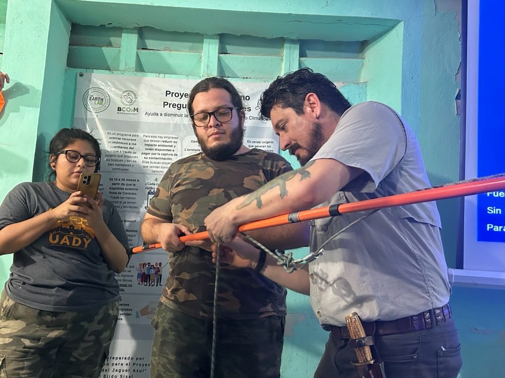 Cocodrilos, Medio Ambiente