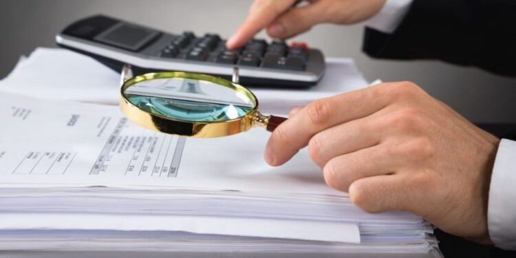 Sales Up va por contratos federales pese a su vínculo con Segalmex