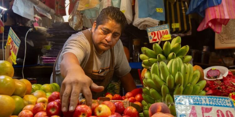 Empleo, Trabajo, Panorama Laboral 2025