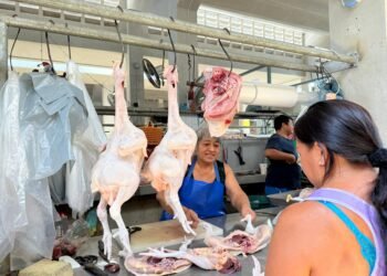 Ni frío ni calor: el pavo mantiene la temperatura en los mercados