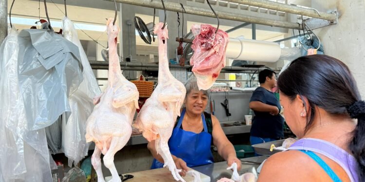 Ni frío ni calor: el pavo mantiene la temperatura en los mercados