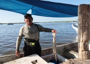 Temporada de pulpo 2025 cierra con 25 mil toneladas y balance positivo: Sepasy