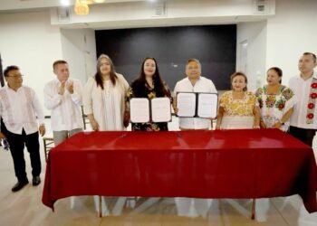 La lengua maya llega a Wikipedia; traducirán interfaz y crearán contenidos