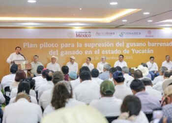 Activan plan piloto contra el gusano barrenador