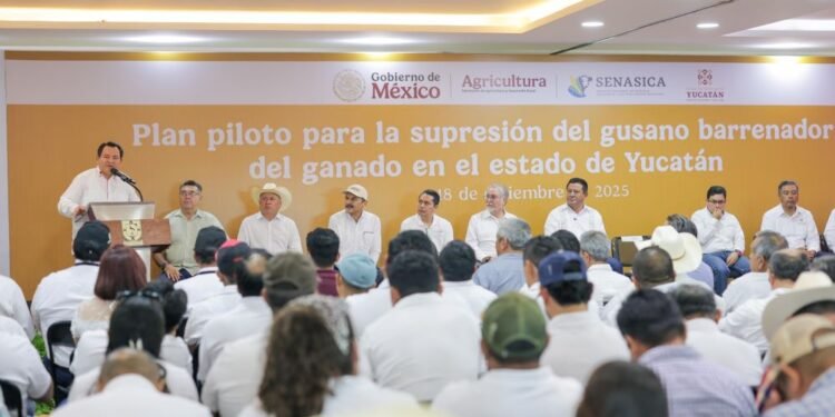 Activan plan piloto contra el gusano barrenador