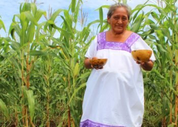 Feria de Productoras Locales, Mérida, Campo