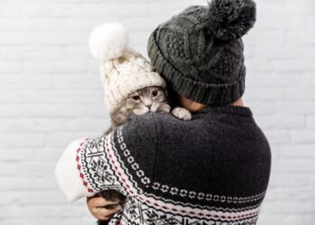 El frío también les pega: guía rápida para proteger a tus mascotas