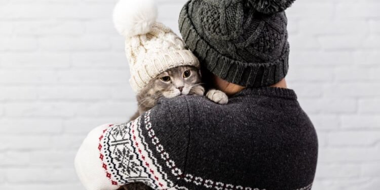 El frío también les pega: guía rápida para proteger a tus mascotas