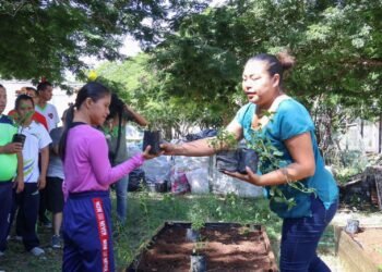 Ayelem, Discapacidad, Mérida