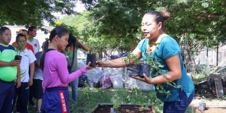 Ayelem, Discapacidad, Mérida