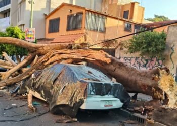 Más de 150 réplicas tras sismo; reportan una víctima