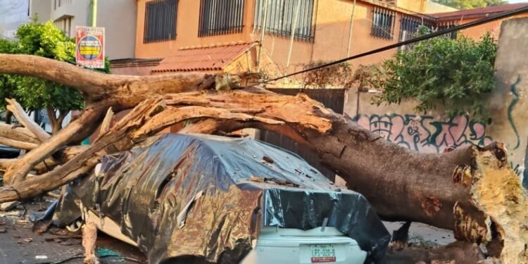 Más de 150 réplicas tras sismo; reportan una víctima