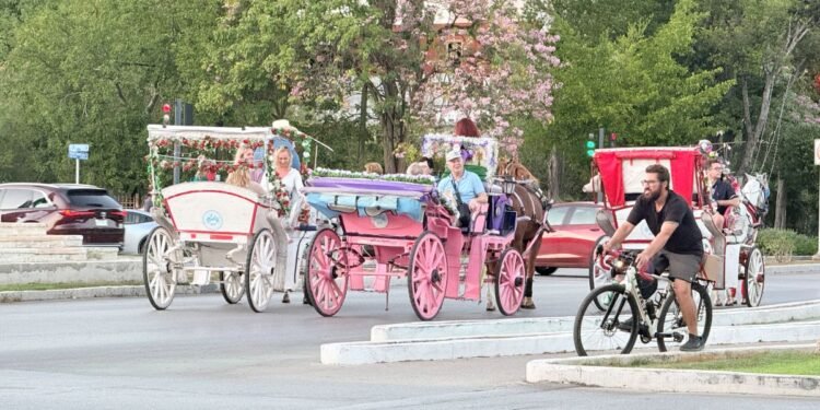 Turismo internacional voltea hacia Mérida, confirman repunte de visitas culturales