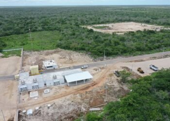 Megagranjas usan selva como patio trasero