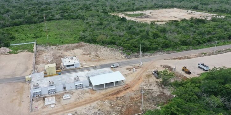 Megagranjas usan selva como patio trasero