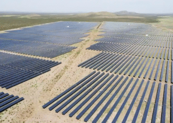 Detrás de Next Energy