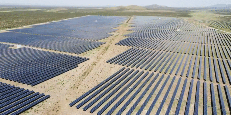 Detrás de Next Energy