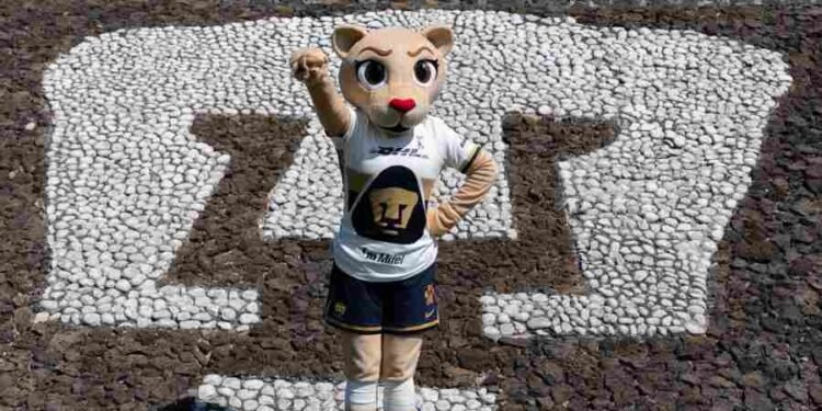 Conoce a la nueva mascota de Pumas Oficial, ella es Goya, por la inclusión