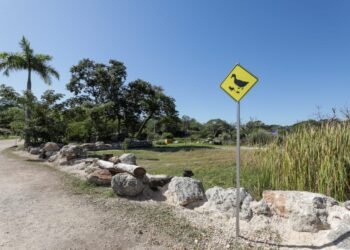 Infraestructura verde contra el calor: inauguran primer Bio-Corredor urbano