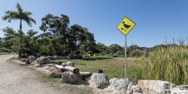 Infraestructura verde contra el calor: inauguran primer Bio-Corredor urbano