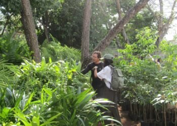 Exitosa jornada verde posiciona a especies nativas como aliadas urbanas