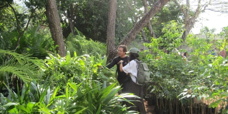 Exitosa jornada verde posiciona a especies nativas como aliadas urbanas