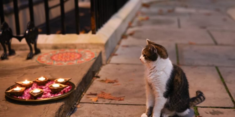 ¿Quién es el felino más famoso de la política británica? Conoce al jefe cazador de ratones