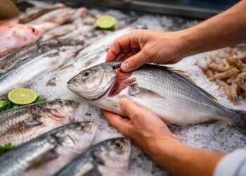 Que no te den gato por pescado en esta Cuaresma