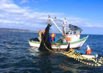 Yucatán refuerza blindaje contra la pesca furtiva en plena temporada de vedas