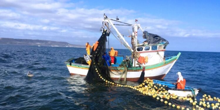 Yucatán refuerza blindaje contra la pesca furtiva en plena temporada de vedas
