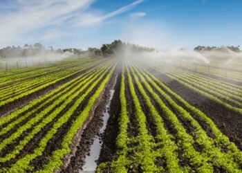 El campo se moderniza y rompe con su dependencia del clima; apuesta al riego