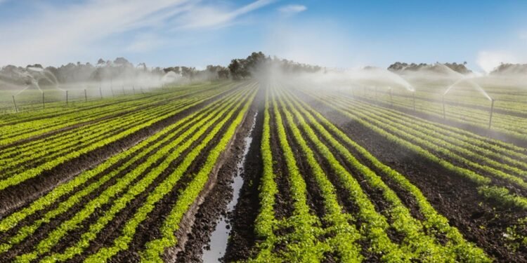 El campo se moderniza y rompe con su dependencia del clima; apuesta al riego