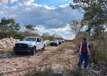 Colapsa intento de explotación ilegal en Cuxtal: Profepa actúa en reserva natural