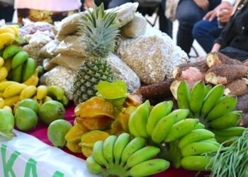 Del campo a tu mesa: regresa el Mercado Renacer a La Plancha con 300 productores