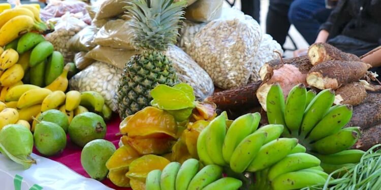 Del campo a tu mesa: regresa el Mercado Renacer a La Plancha con 300 productores