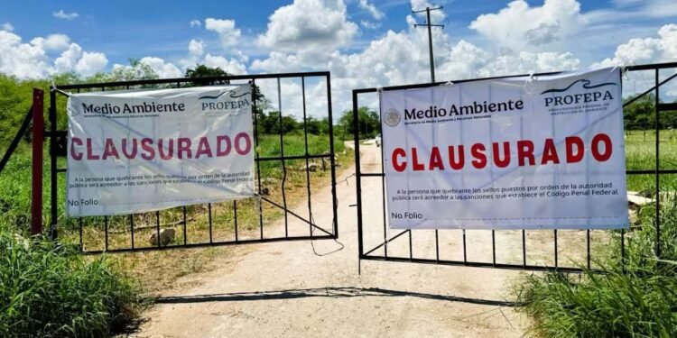 Suman más de 100 clausuras ambientales desde 2024; Tekax emerge como foco rojo