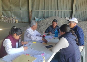 AGRICULTURA paga más de mil 800 mdp a productores de maíz blanco y amarillo