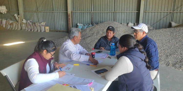 AGRICULTURA paga más de mil 800 mdp a productores de maíz blanco y amarillo