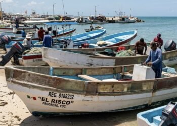 Sepasy advierte riesgos por uso de lanchas modificadas durante temporada de mero