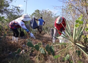 Yucatán y Campeche eliminan fronteras por la conservación