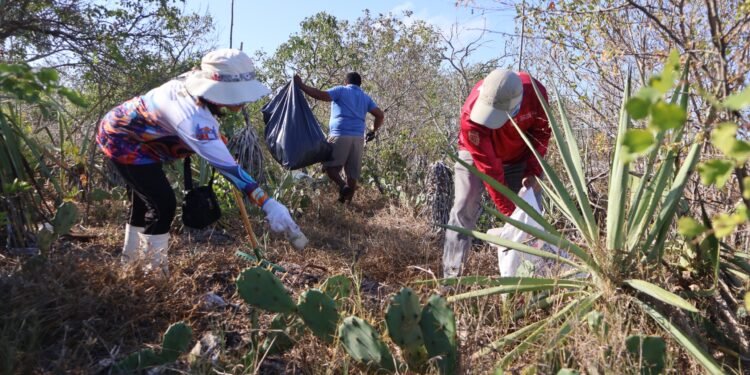 Yucatán y Campeche eliminan fronteras por la conservación
