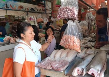 Nueva zona de mariscos llegará a la Central de Abasto de Mérida