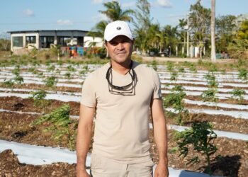 Mecanización de tierras impulsa la productividad del campo en Tizimín